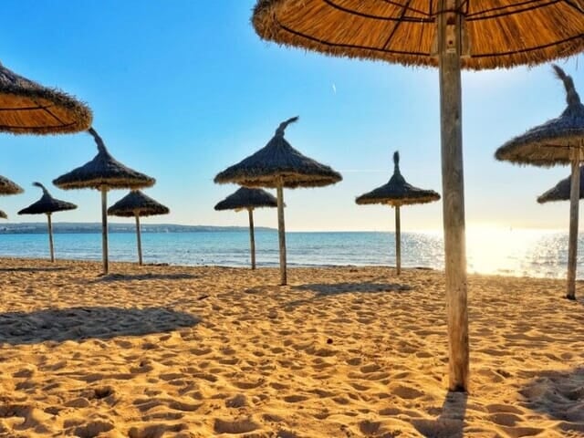 Thatched parasols on the golden sand of Playa de Palma in S'Arenal with calm turquoise sea at sunrise