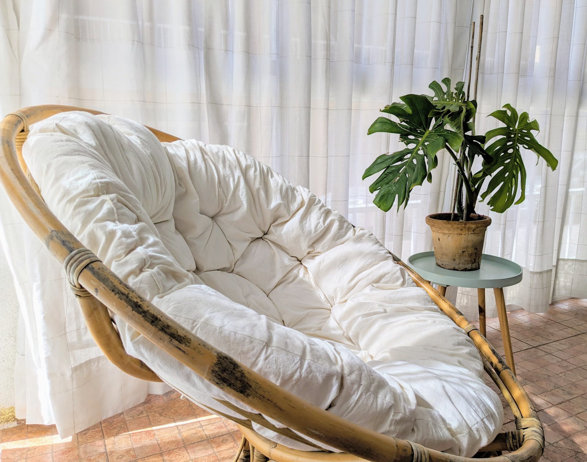 A rattan lounge chair beside a plant in a sunlit corner of the house