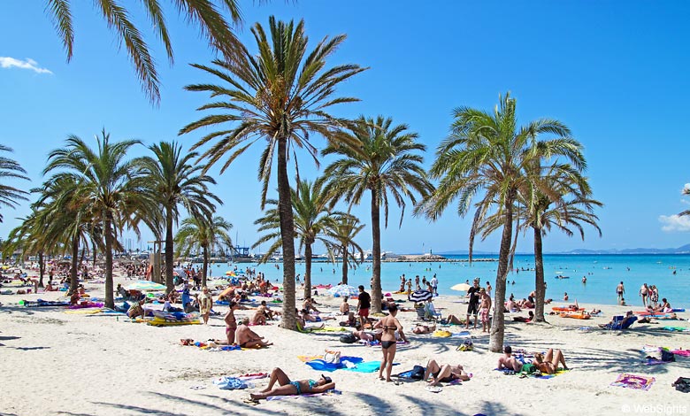 Palm trees and golden sand on the beach in S'Arenal